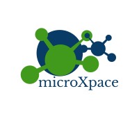 MicroXpace logo - Similar company to Crown Procurement