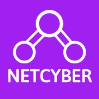 NetCyber (Private) Limited logo - Similar company to Ph4Ntom