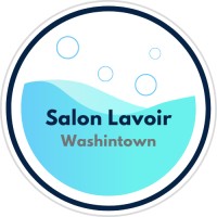 Washintown SPRL logo - Similar company to Redscape