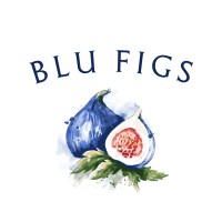 BLU FIGS logo - Similar company to Blue Pig Media