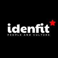 idenfit logo - Similar company to Datassist