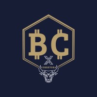 BCX Corretora logo - Similar company to Haim Engineering