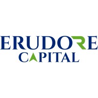 ERUDORE CAPITAL PRIVATE LIMITED logo - Similar company to Saffron Financial Services