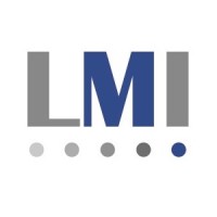 Lean Management Institute logo - Similar company to Sm Engineering Solutions