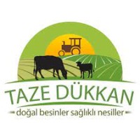 TAZE DÜKKAN logo - Similar company to Hurmalab