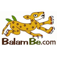 BalamBe: Desarrollo de Equipos de Trabajo Exitosos logo - Similar company to Bimca