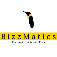BizzMatics logo - Similar company to Functional Finance
