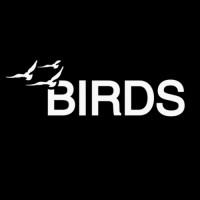 Birds - Marketing Wingmen logo - Similar company to Sperri
