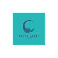 Berks Cyber logo - Similar company to Custodian360