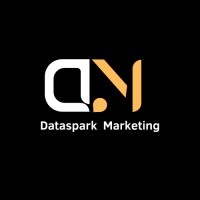 DataSpark Marketing logo - Similar company to Analyst Box Pro Consultancy