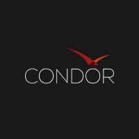 Condor Partners logo - Similar company to Dapper Residential