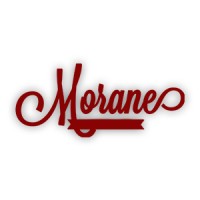 Morane LLC logo - Similar company to Nemika