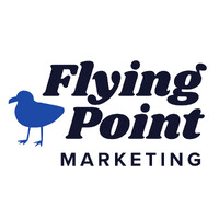 Flying Point Marketing logo - Similar company to The Wisdom Link, Inc.