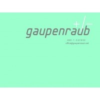 gaupenraub +/- logo - Similar company to Gerner Gerner Plus Architektur