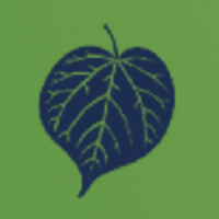 Clove logo - Similar company to Codify Berkeley