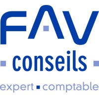 FAV Conseils logo - Similar company to Dms Audit