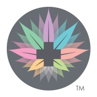 CBD Beaute logo - Similar company to Cbd Oracle