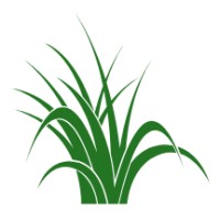 Meristem Agronomic Consulting logo - Similar company to Ag Consulting Engineers