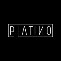 PLATINO INTERIORS logo - Similar company to Björn Tech