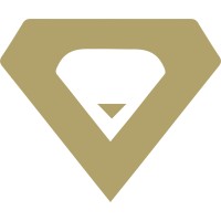Lion Media Group-Denver logo - Similar company to Mahting Photography