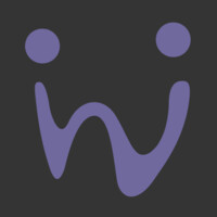 Wizz Management Consulting logo - Similar company to Anckel
