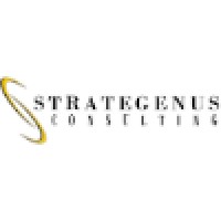 Strategenus Consulting, Llc