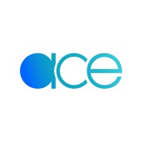 ACEssment logo - Similar company to Lynkupp.Com