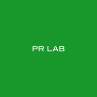 PR Lab logo - Similar company to Digital Loud