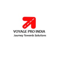 Voyage Pro India logo - Similar company to Digital Stead