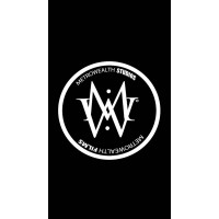 Metro Wealth Films & Studios logo - Similar company to Mann Robinson Studios