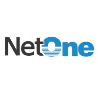 NetOne Soluciones Web para Pymes logo - Similar company to Binariosoft