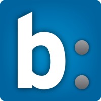 Van den Brink ICT logo - Similar company to Terberg It & Cybersecurity