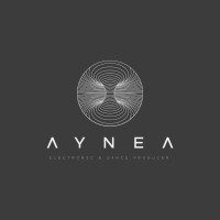 Aynea Producciones SPA logo - Similar company to 9291Lab