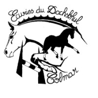 Écuries Du Dachsbuhl - Élevage du Hans logo - Similar company to Kns Agency