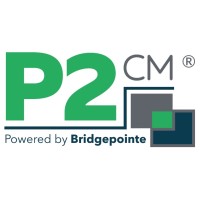 Bridgepointe Technologies logo - Similar company to Premier Technology Group