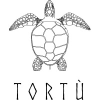 TORTÙ PLAGE logo - Similar company to Tortu World