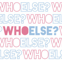 whoelse.ai logo - Similar company to Epto | European Peer Training Organisation