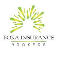 Bora Insurance Brokers logo - Similar company to W.W. Smith Insurance Ltd