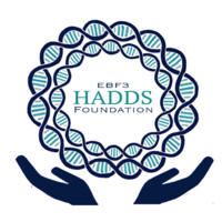 EBF3 HADDS Foundation logo - Similar company to Brixon Design & Manufacturing