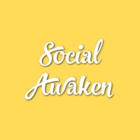Social Awaken logo - Similar company to Net - Store