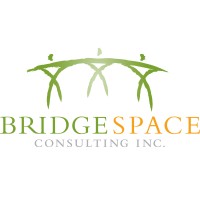 Bridgespace Consulting Inc. logo - Similar company to Eganess Transformation & Coaching