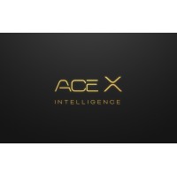 Ace-X Intelligence logo - Similar company to Sunbird Consulting Services