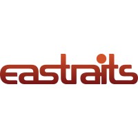 Eastraits Pte. Ltd. logo - Similar company to Transform Digital
