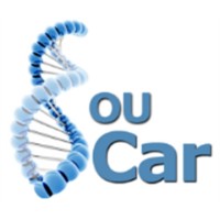 SOU CAR TRANSPORTES E LOGÍSTICA LTDA logo - Similar company to Bispress