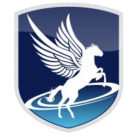 Borak Solutions LLC logo - Similar company to Borak