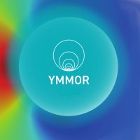 YMMOR - Young Mathematicians in Model Order Reduction logo - Similar company to Sissa Mathlab