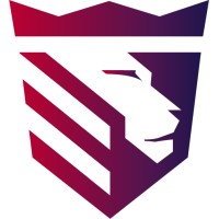 Believe Nation logo - Similar company to Nvisionu Inc.