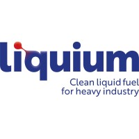Liquium logo - Similar company to Tereform