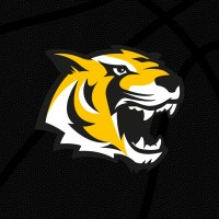 Tigers Tübingen logo - Similar company to Werker