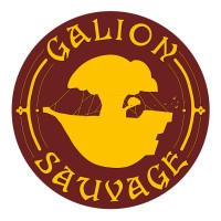 Galion Sauvage logo - Similar company to 5Motion